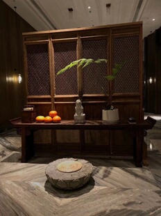 胎生狗脊蕨一叶蕨类植物老桩盆景网红蕨室内绿植造景禅意中式盆栽