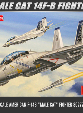小号手模型 1/72 美国F-14B“雄猫”战斗机 80277