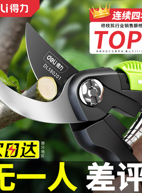 得力剪枝剪刀园林花艺修剪树枝剪刀果树剪刀粗大花剪园艺花卉剪子