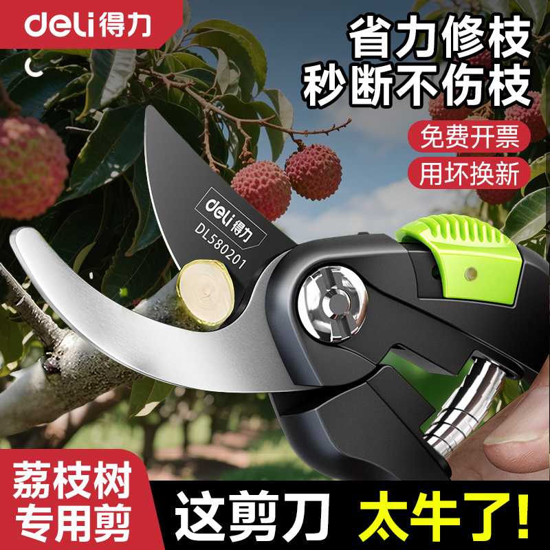 得力修枝剪果树专用剪刀园林花艺花剪修剪树枝荔枝树园艺剪子工具