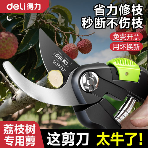 得力修枝剪果树专用剪刀园林花艺花剪修剪树枝荔枝树园艺剪子工具