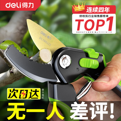 得力剪树枝专用剪刀园艺剪修枝
