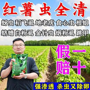 红薯地下害虫专用红薯钻心虫蛴螬金针虫蝼蛄食心虫专杀红薯地害虫