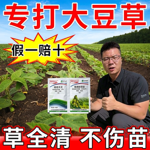 大豆苗后草专用剂杂草连根烂黄豆大豆打草专用剂不伤苗禾阔全清