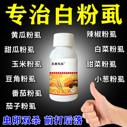 白粉虱专用特效灭白粉虱专用杀I虫剂花卉植物蔬菜通用专灭粉虱