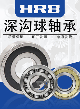 HRB6300 6301 6302 6303 6304 6305 6306-ZZ铁封 -2RS 深沟球轴承