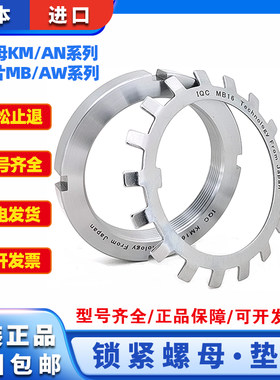 进口锁紧垫圈AW10AW11AW12