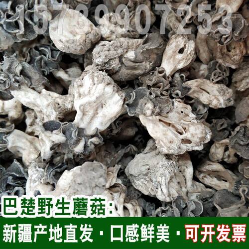 新货巴楚菇新疆巴楚野生蘑菇