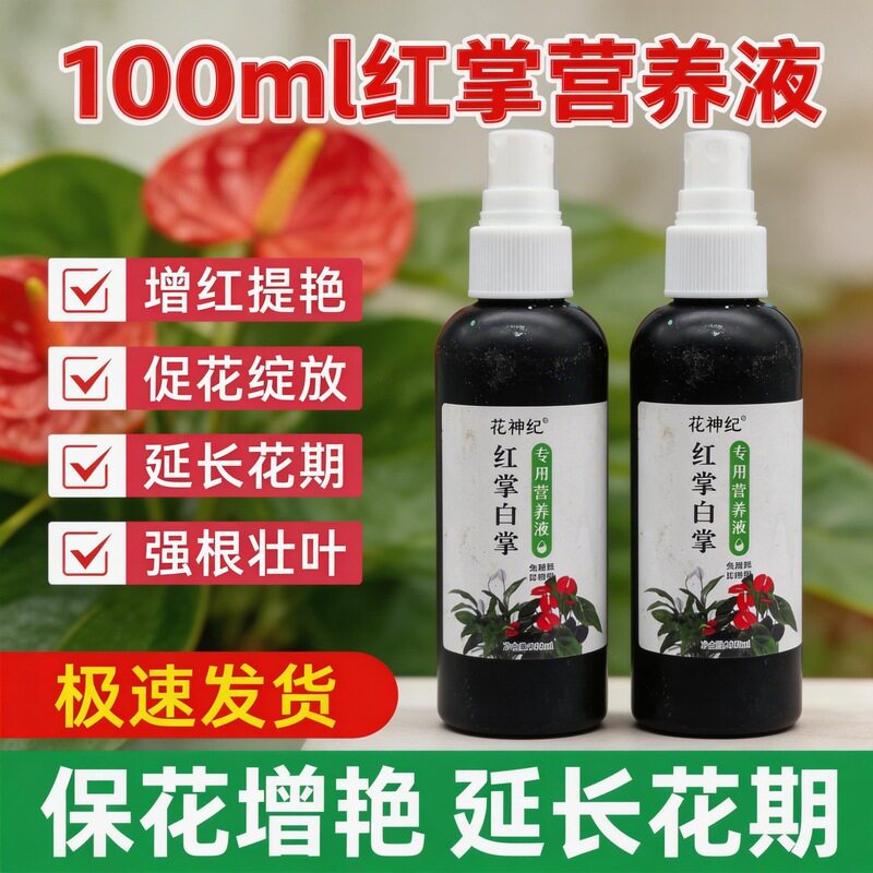 白掌红掌鸿运当头一帆风顺营养液水培土培用促花绿叶肥料