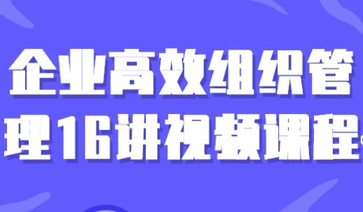 企业高效组织管理16讲视频课程