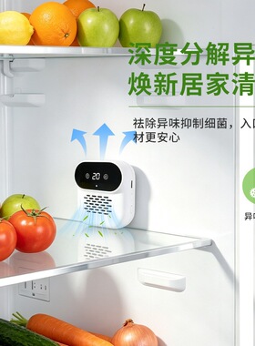 跨境多功能充电冰箱净化器家用鞋柜衣柜厨卫车载除菌臭氧除臭味机