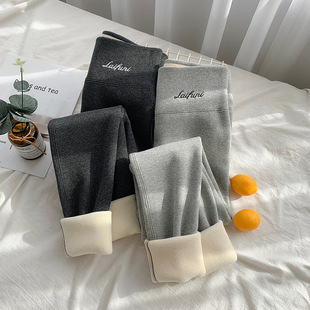 女外穿季 裤 加绒羊羔高腰东北超厚灰色保暖加厚 特厚打底绒棉裤 新款