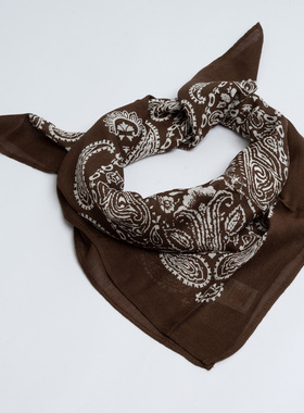 出口围巾女春夏 优雅咖色腰果花印花丝巾 百搭旅游装饰领巾小方巾