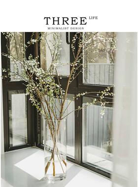 Tlife·Willow·玻璃花瓶摆件客厅插花透明马醉木花器器皿 | 雪柳