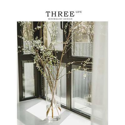 Tlife·Willow·玻璃花瓶摆件客厅插花透明马醉木花器器皿 | 雪柳