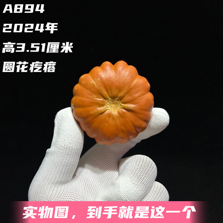A894高3.51厘米2024年精品雏菊圆花墨西哥七彩手捻葫芦