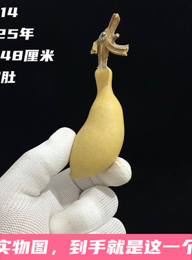 A1414高7.48厘米2025年精品手捻胖香蕉绿皮蚂蚁肚葫芦