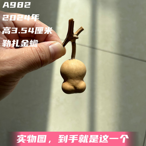A982高3.54厘米2024年精品花叶病圆头手捻草里金勒扎胖金蟾葫芦