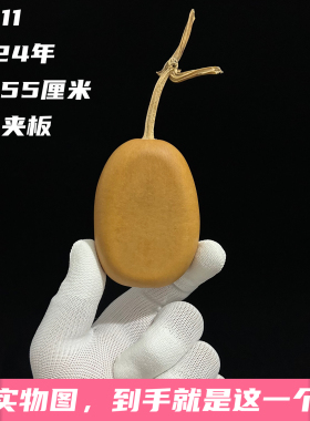 A1311高7.55厘米2024年精品手捻小冬瓜夹板葫芦