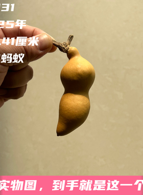 A1831高8.41厘米2025年精品手捻绿皮财包蚂蚁肚葫芦