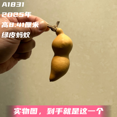 A1831高8.41厘米2025年精品手捻绿皮财包蚂蚁肚葫芦