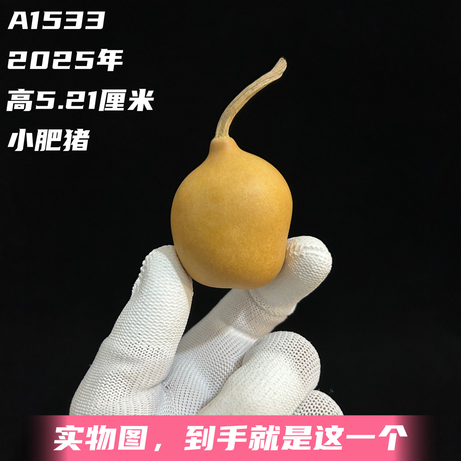 A1533高5.21厘米2025年精品手捻奶嘴八宝小肥猪异形葫芦