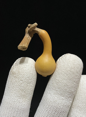 A751高3.10厘米2023年精品长脖柳肚鹅形草里金小单肚手捻葫芦蒜头