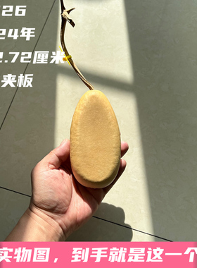 A1026高12.72厘米2024年精品花叶病冬瓜夹板葫芦文玩