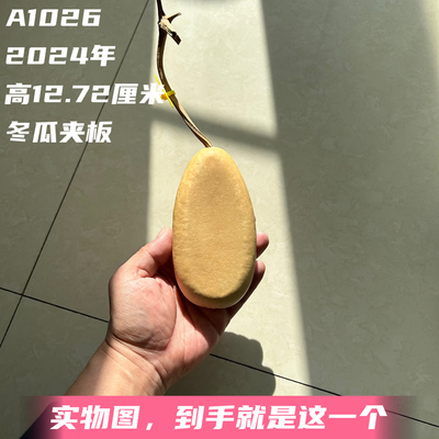 A1026高12.72厘米2024年精品花叶病冬瓜夹板葫芦文玩