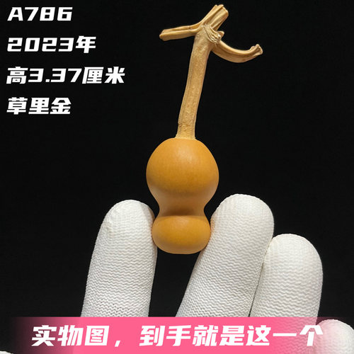 A786高3.37厘米2023年精品主藤粗长龙头草里金手捻小葫芦