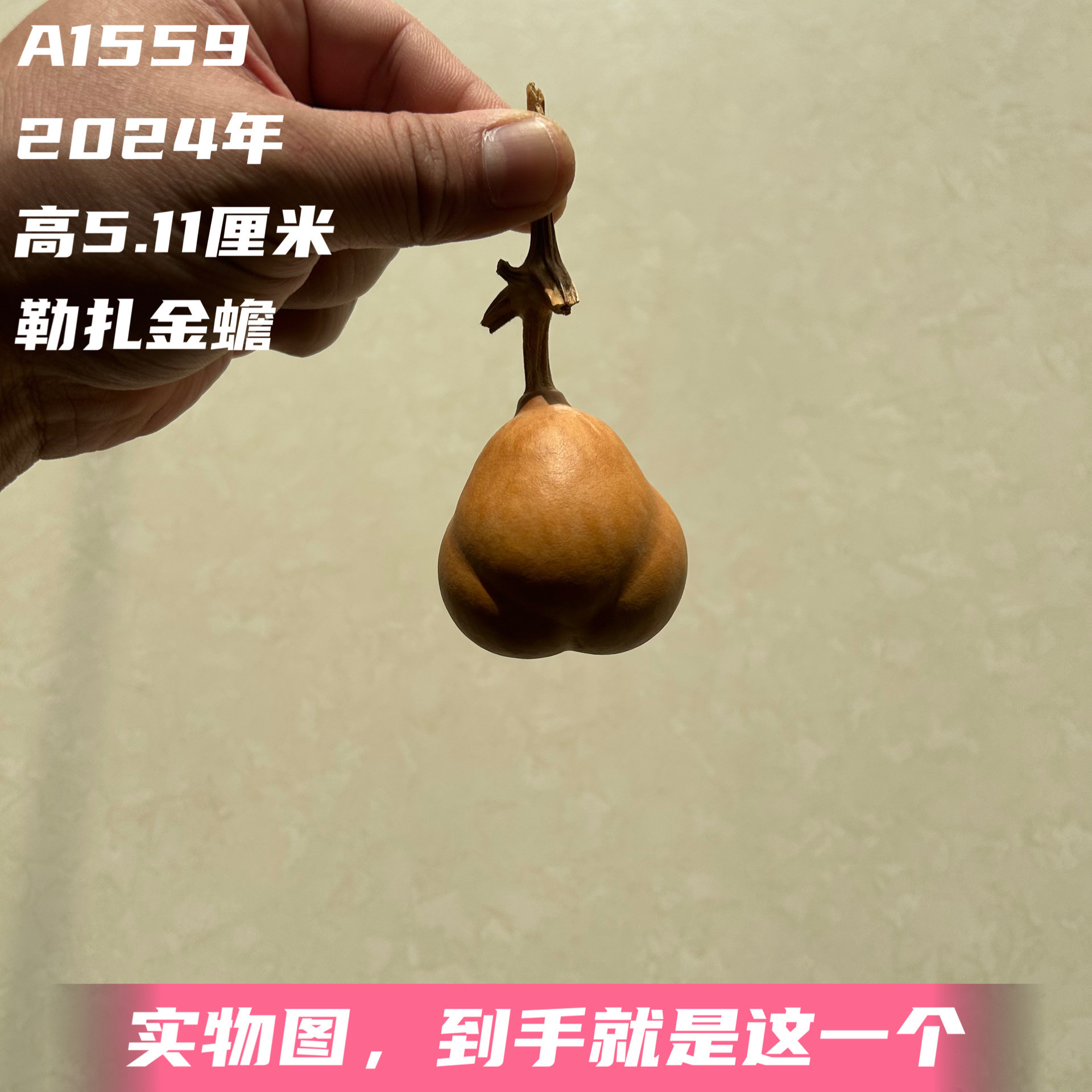 A1559高5.11厘米2024年精品手捻花叶胖墩金蟾勒扎葫芦