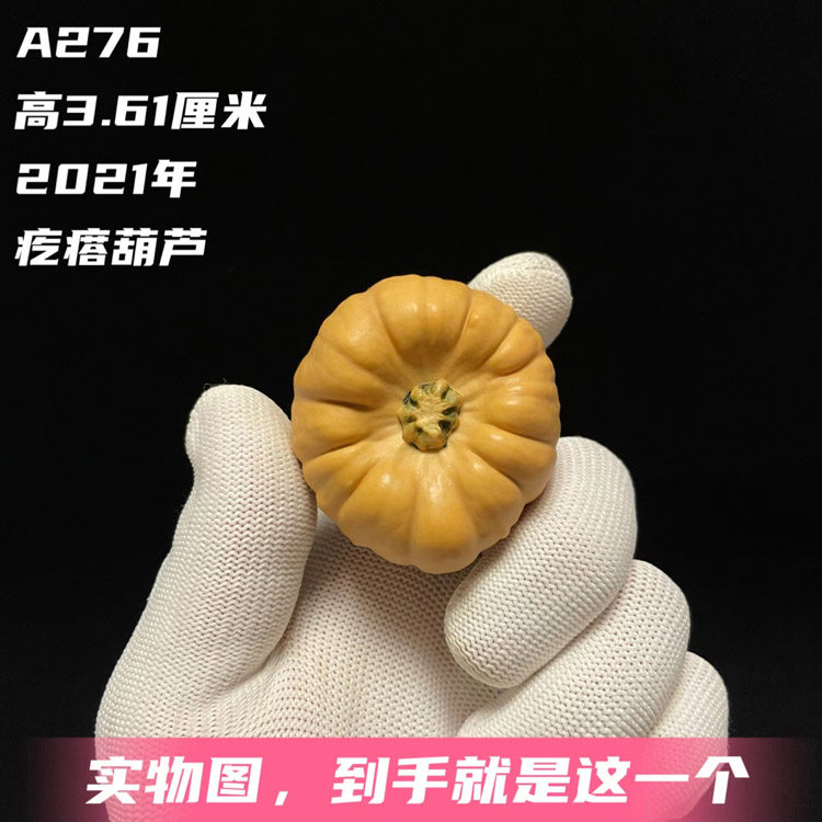 墨西哥葫芦七彩疙瘩葫芦