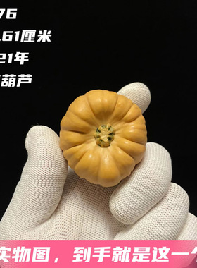 A276高3.61厘米2021年七彩疙瘩葫芦墨西哥天然文玩聚宝盆辣子罐