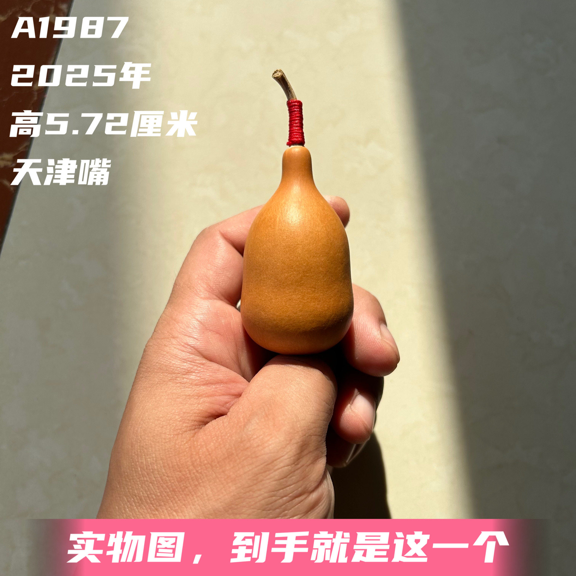 A1987高5.72厘米2025年精品手捻天津嘴小胖墩葫芦