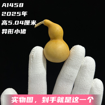 A1458高5.04厘米2025年精品手捻天津嘴异形小猪葫芦