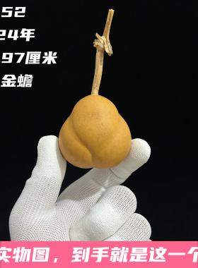 A1352高4.97厘米2024年精品手捻花叶小冬瓜勒扎胖金蟾葫芦
