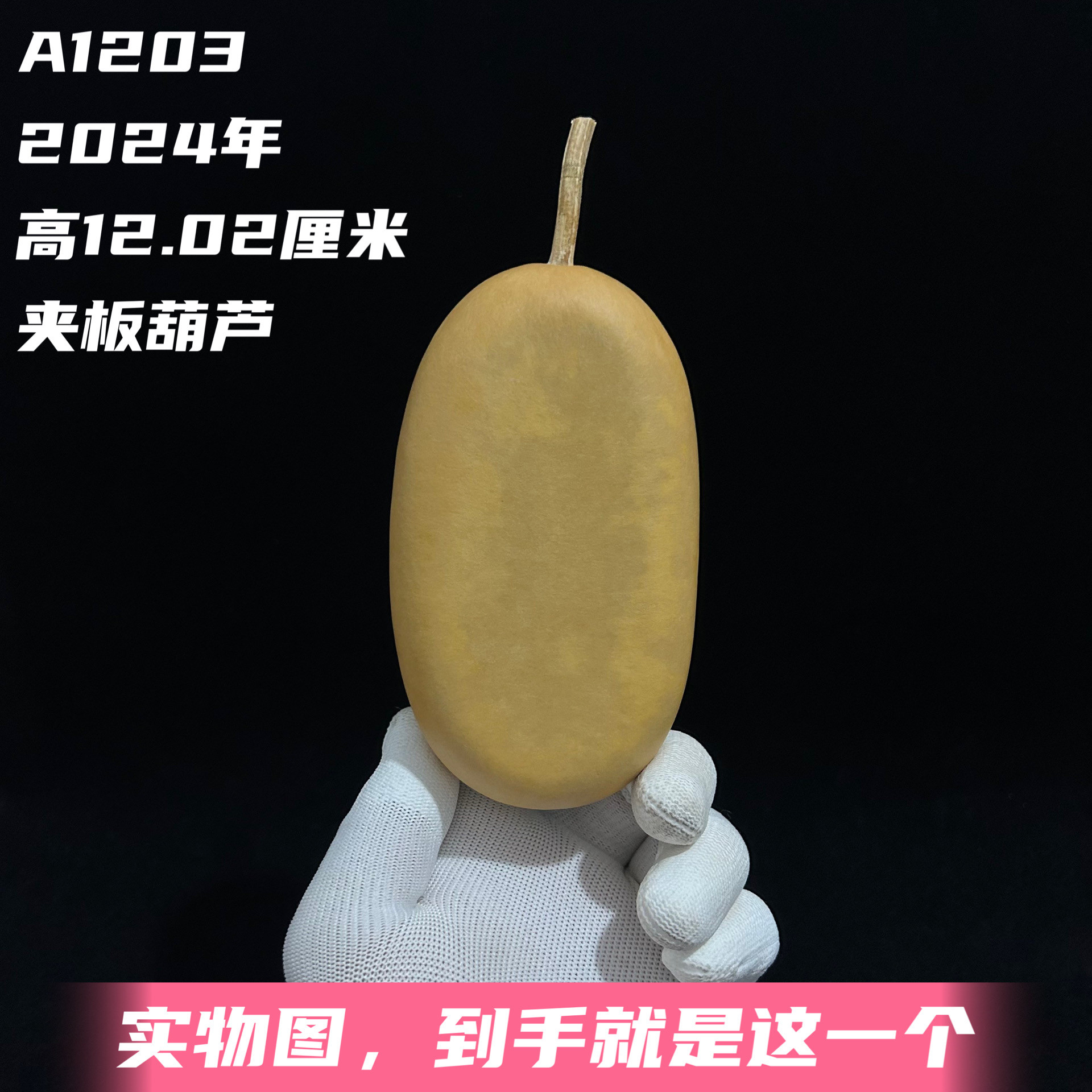 A1203高12.02厘米2024年精品文玩冬瓜葫芦夹板