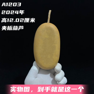 A1203高12.02厘米2024年精品文玩冬瓜葫芦夹板