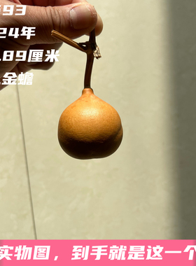 A1693高4.89厘米2024年精品手捻花叶病小苹果勒扎胖墩金蟾葫芦