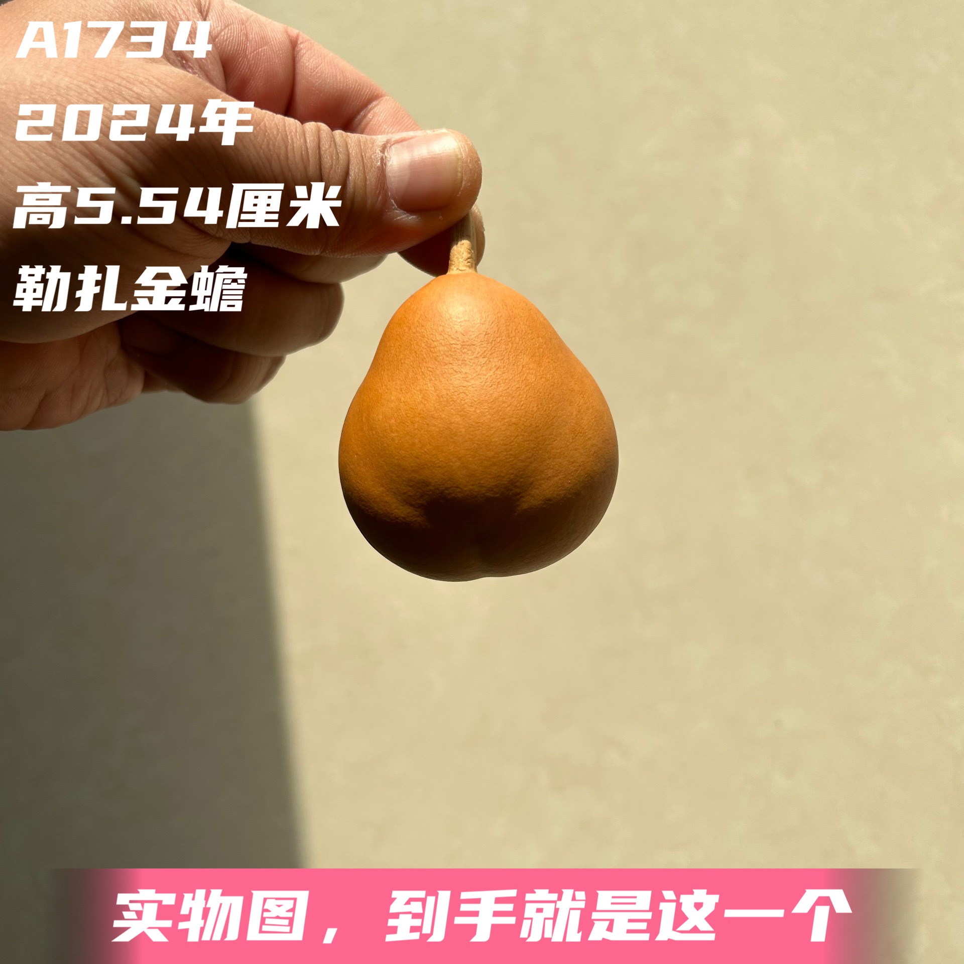 A1734高5.54厘米2024年精品手捻梨墩胖墩勒扎金蟾葫芦