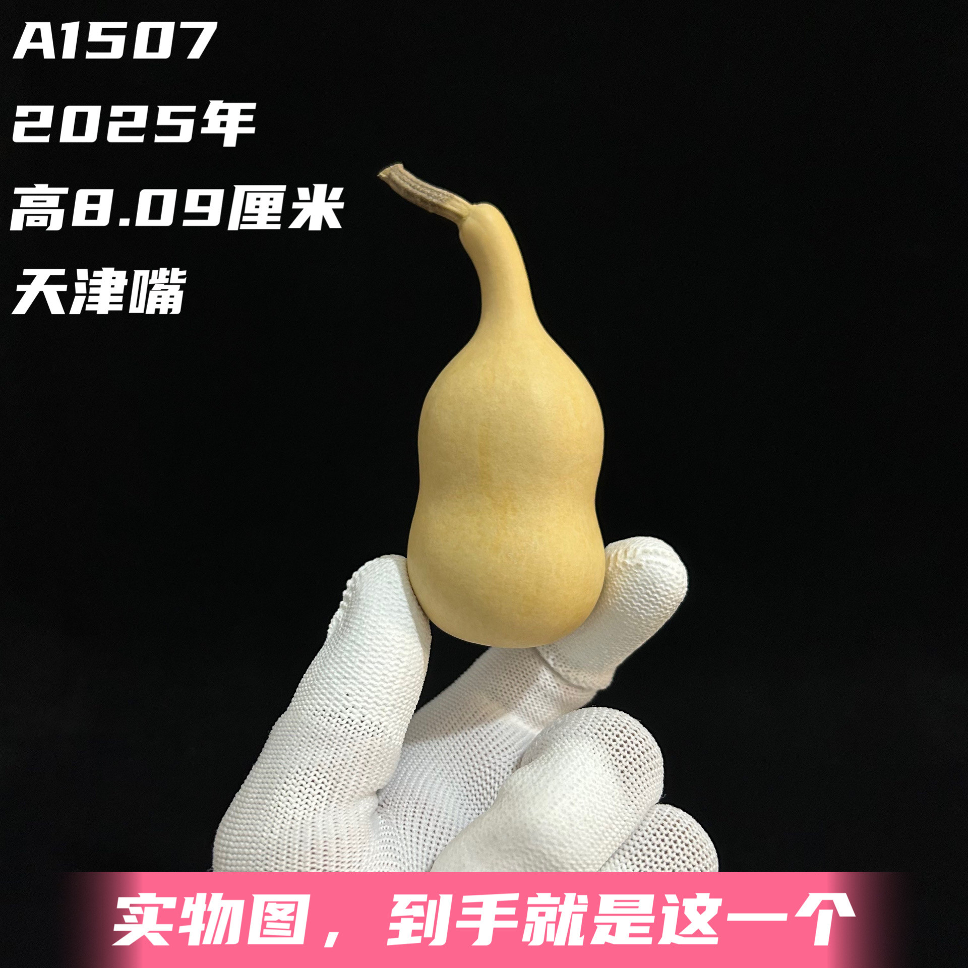 A1507高8.09厘米2025年精品手捻天津嘴粗腰胖墩葫芦