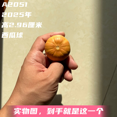 A2051高2.96厘米2025年精品手捻西瓜球葫芦