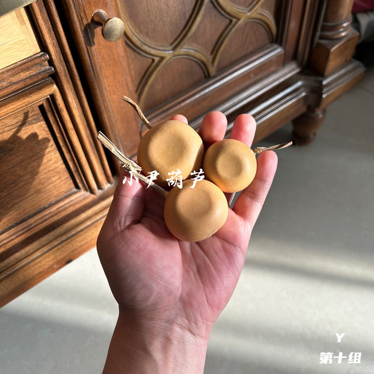 文玩葫芦异形天然勒扎金蟾范制夹板布袋钱袋小红书网红款把件