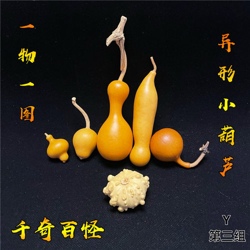 天然文玩手把件千奇百怪异形葫芦