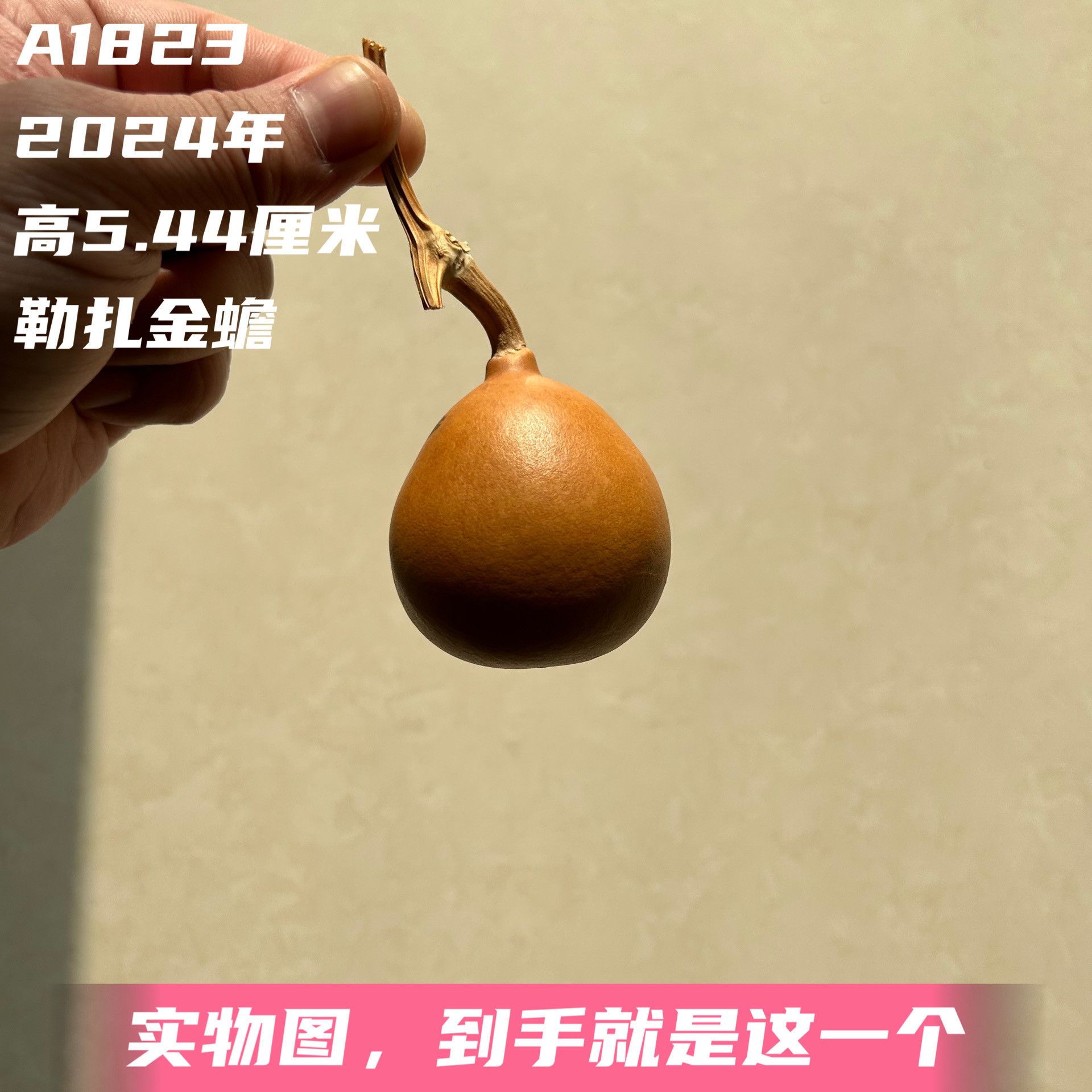 A1823高5.44厘米2024年精品手捻勒扎天裂金蟾葫芦
