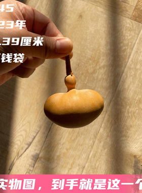 A645高5.39厘米2023年精品花叶病倒福钱袋手捻文玩葫芦异形