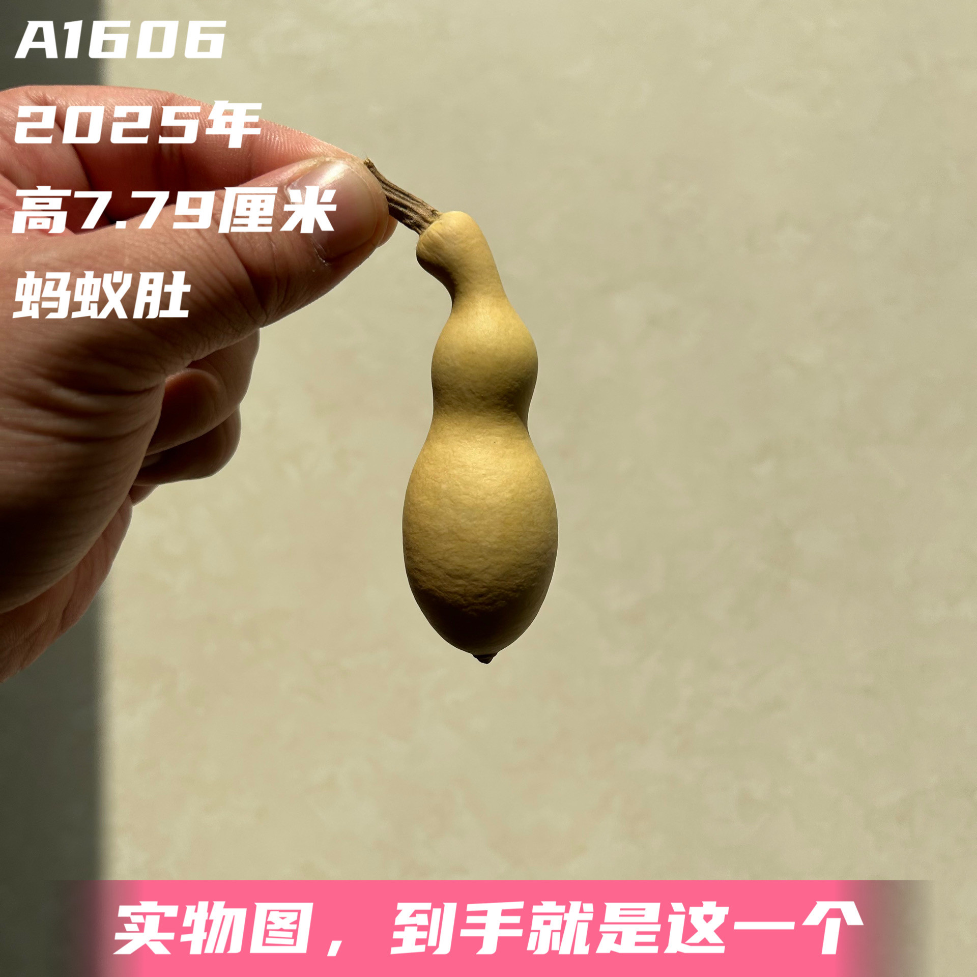 A1606高7.79厘米2025年精品手捻绿皮翻嘴蚂蚁肚葫芦