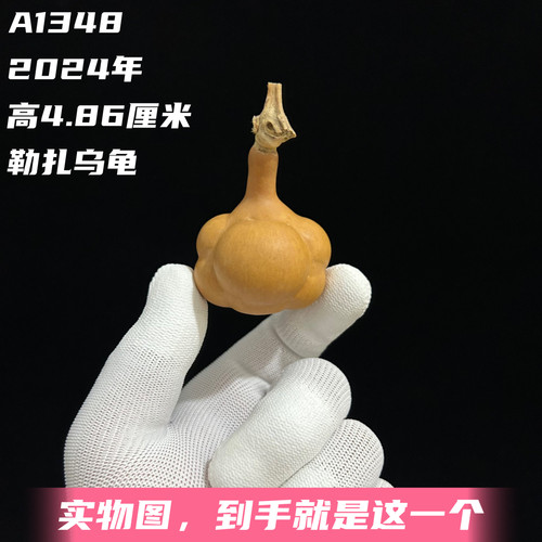 A1348高4.86厘米2024年精品手捻太阳花小熊爪勒扎乌龟葫芦