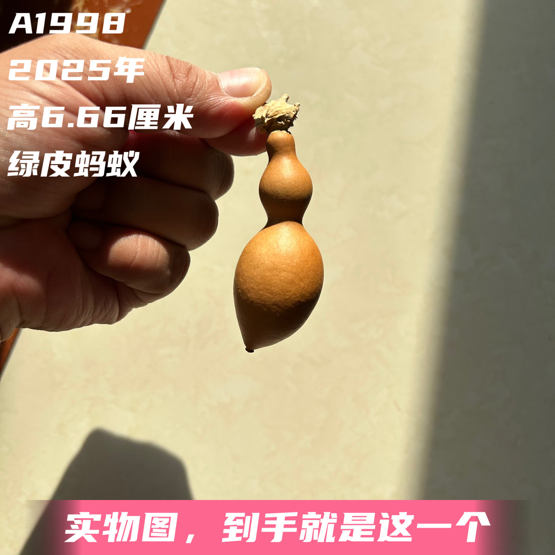 A1998高6.66厘米2025年精品手捻绿皮蚂蚁肚葫芦