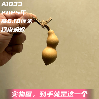 A1833高6.18厘米2025年精品手捻绿皮蚂蚁肚葫芦